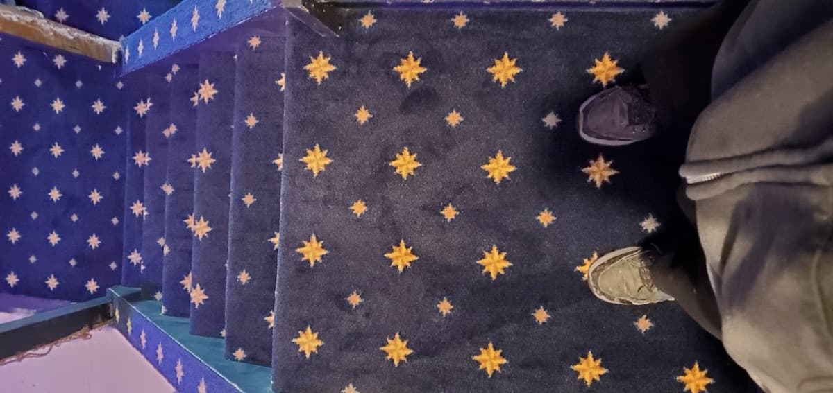 Custom navy and gold star pattern carpet on stairs — installed by Threshing Floors