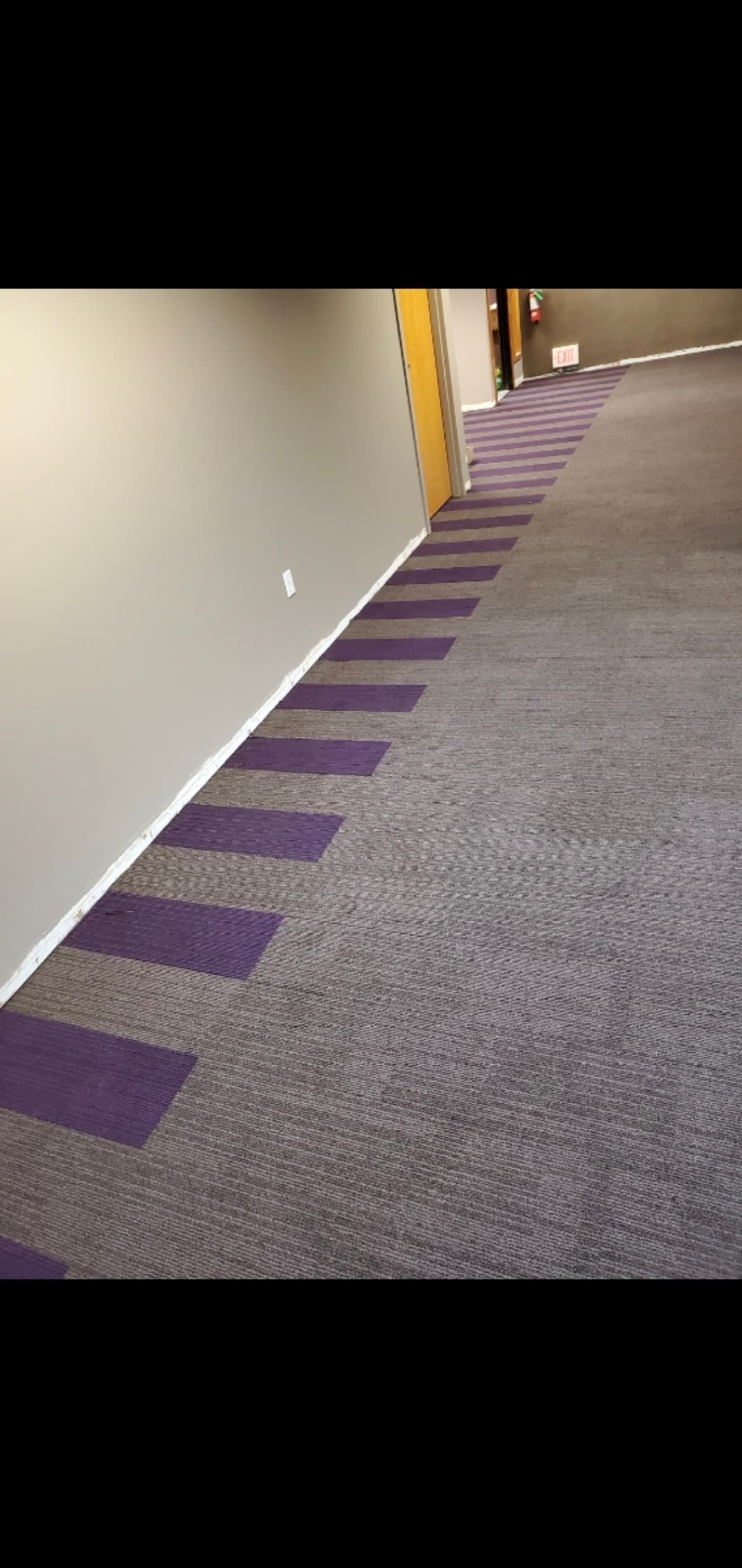 Commercial carpet tile with purple accent pattern in a hallway — installed by Threshing Floors