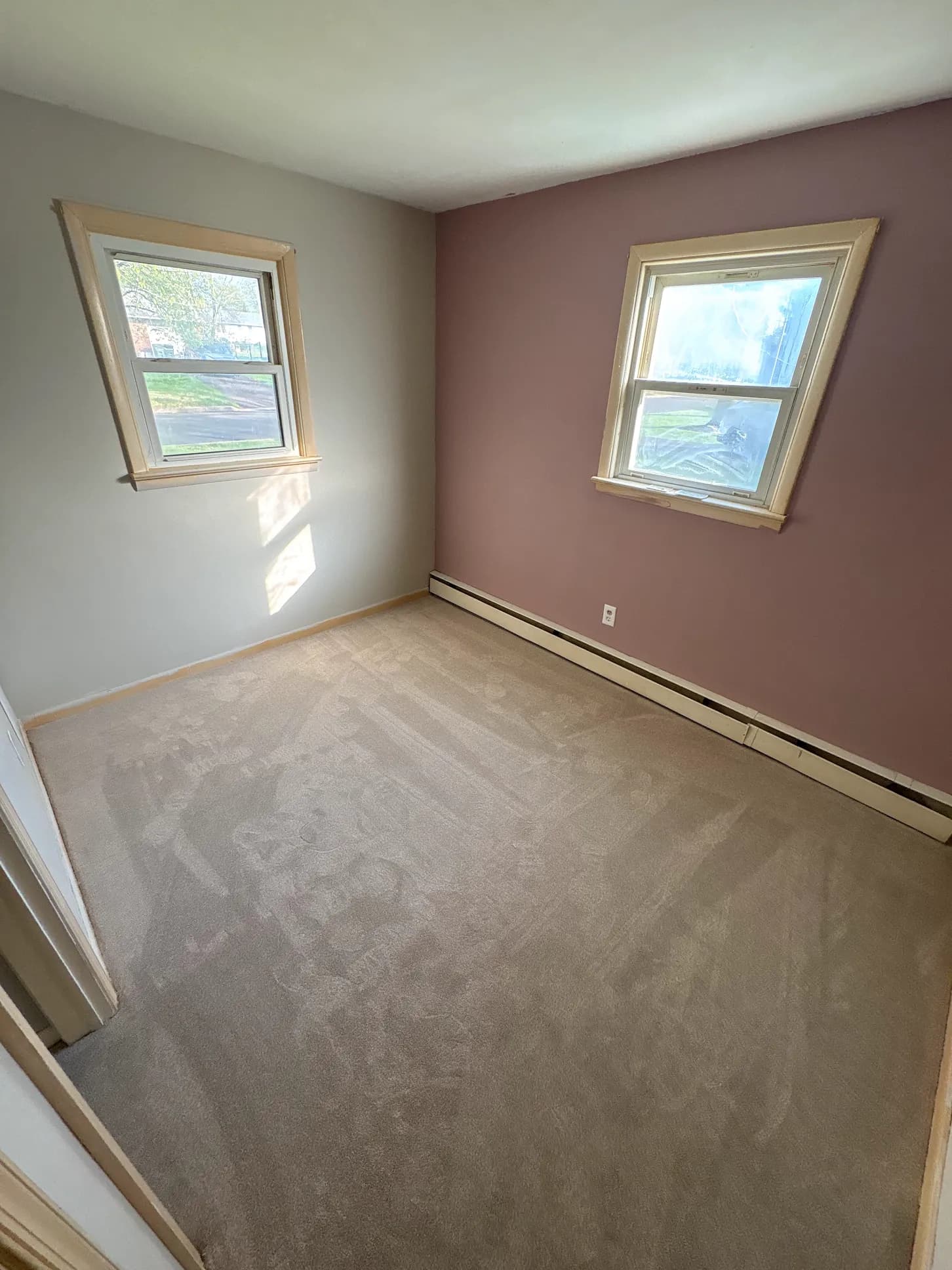 Plush carpet in a sunlit guest bedroom — installed by Threshing Floors